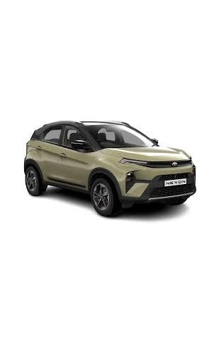 Tata Nexon Petrol Genuine Service Kit